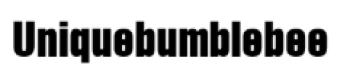 uniquebumblebee-hk